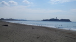 IMG_20150921_095617.jpg