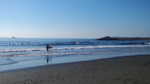 IMG_20160110_095049.jpg